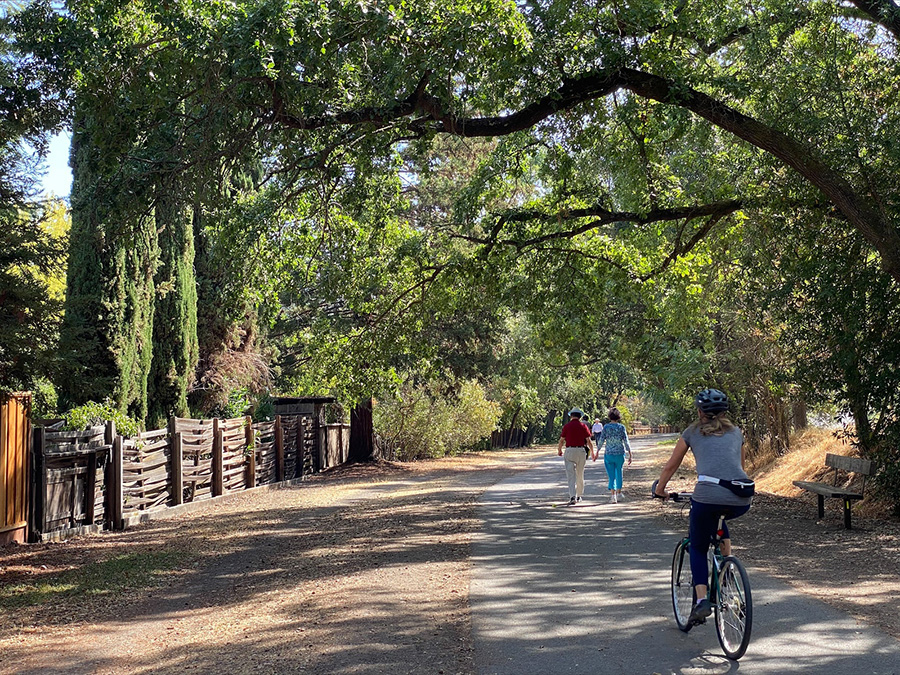 bicycling on a trail in Lafayette CA